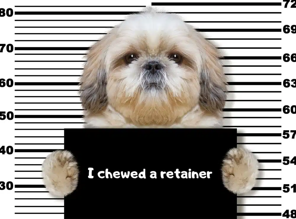 why-chewed RETAINER ASSURANCE PROGRAM